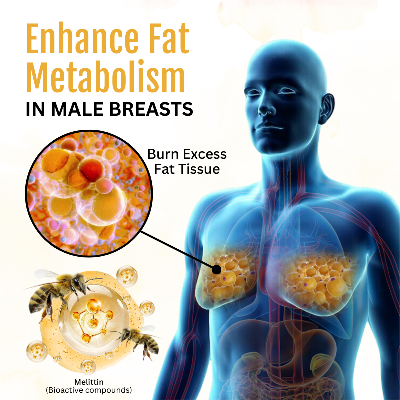 Biancat® ThermoFirm Bee Venom Gynecomastia Oil