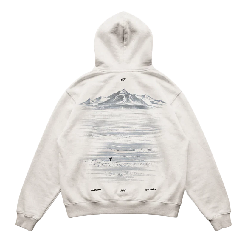 Lone Penguin But Why Oversized Hoodie