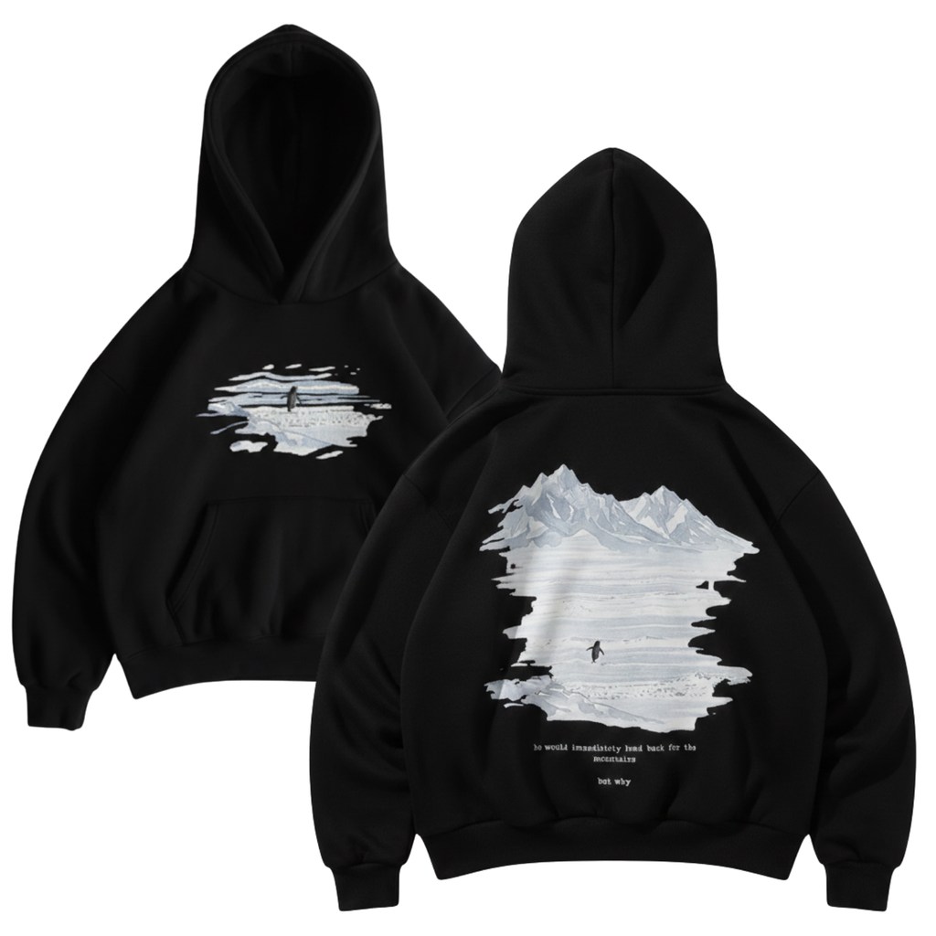 Lone Penguin But Why Oversized Hoodie