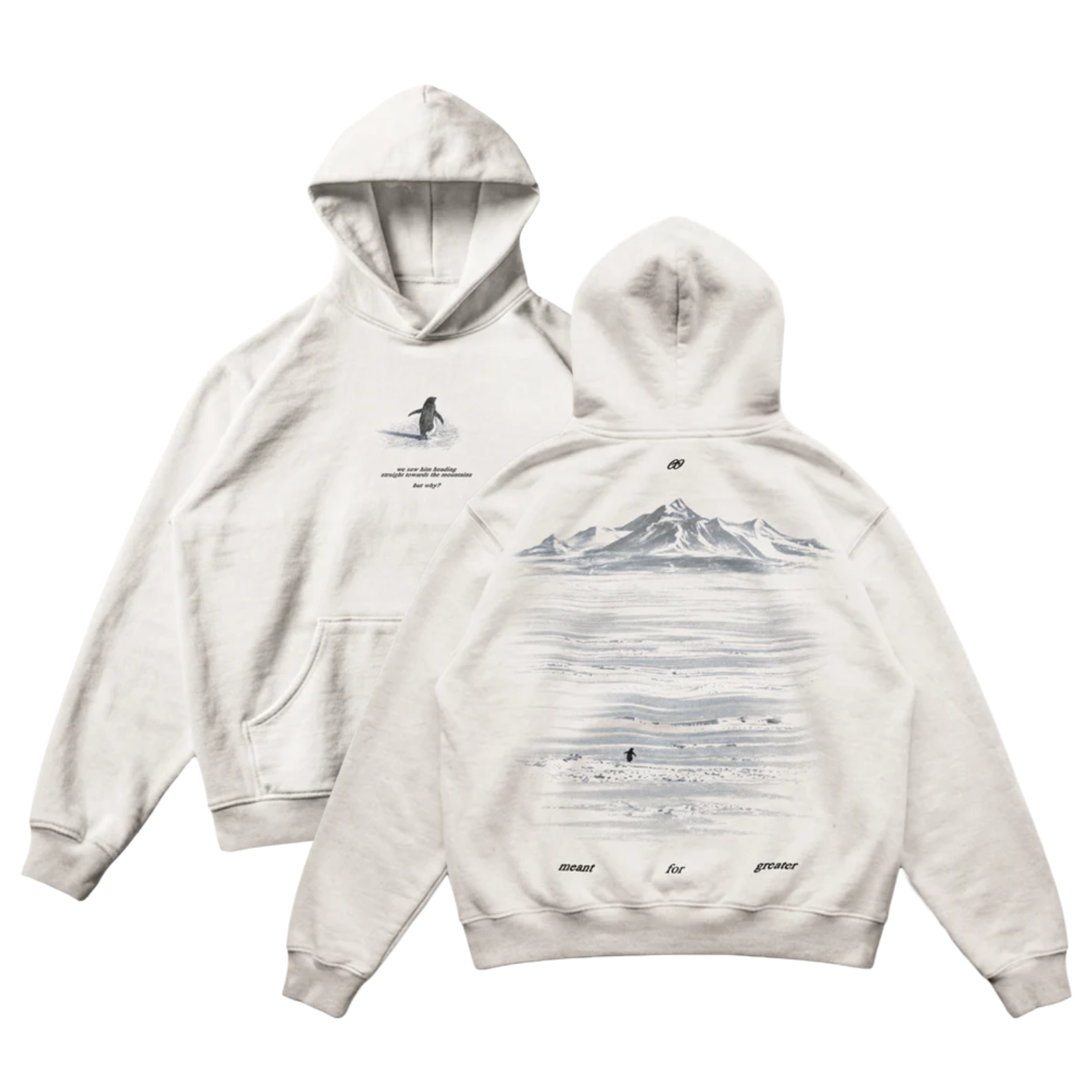 Lone Penguin But Why Oversized Hoodie