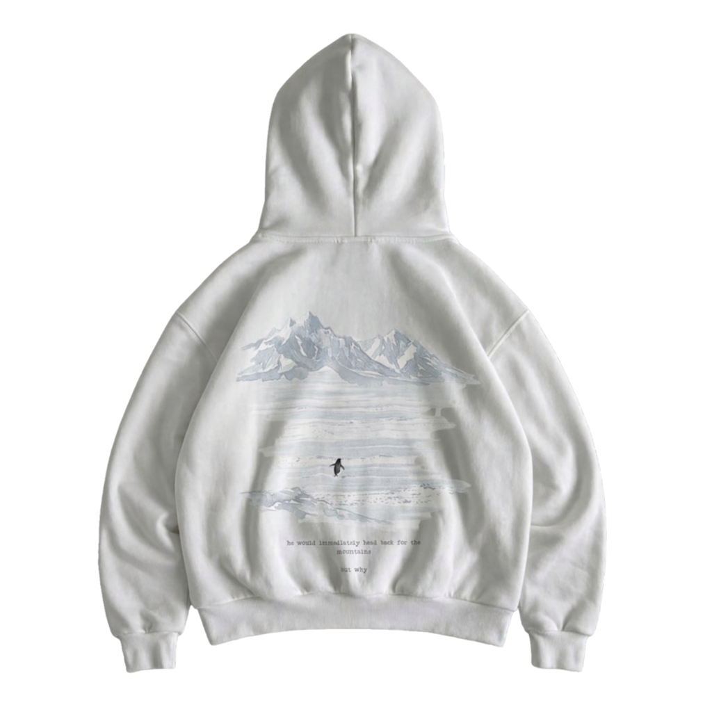 Lone Penguin But Why Oversized Hoodie