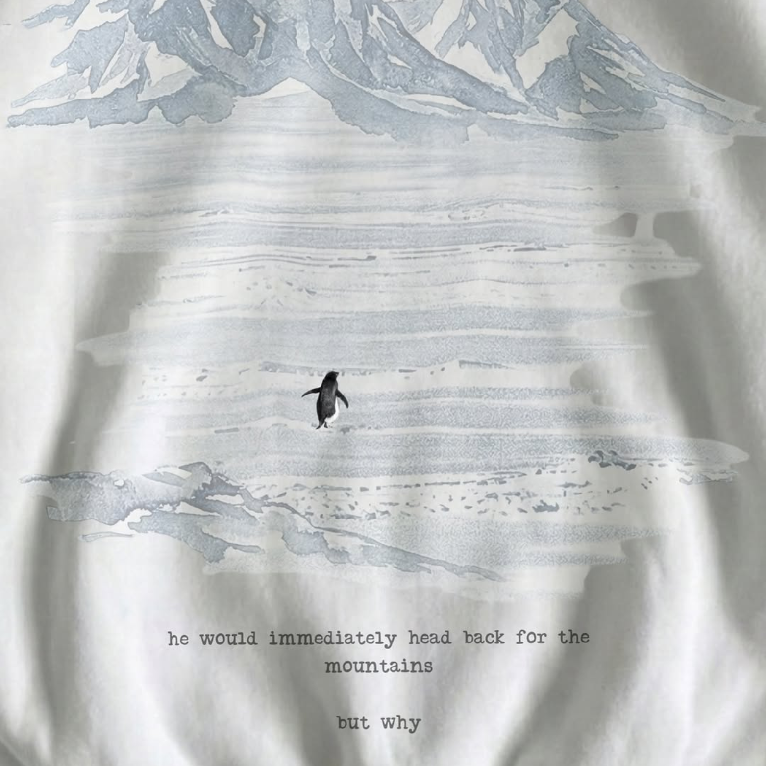 Lone Penguin But Why Oversized Hoodie